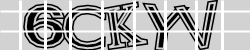 Güvenlik Kodu