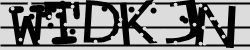 Güvenlik Kodu
