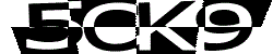 Güvenlik Kodu