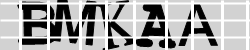 Güvenlik Kodu