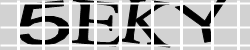 Güvenlik Kodu