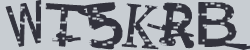 Güvenlik Kodu