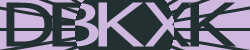 Güvenlik Kodu