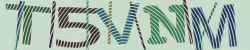 Güvenlik Kodu